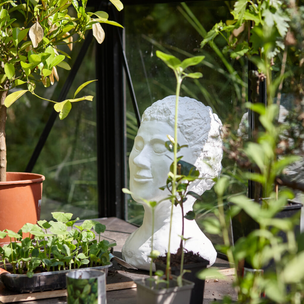 Realisation_d’un_espace_detente_domicile_MASERRANDA_par_L’ATELIER_DES_SERRES_ cree_votre_espace_detente _a_domicile_extension_maison